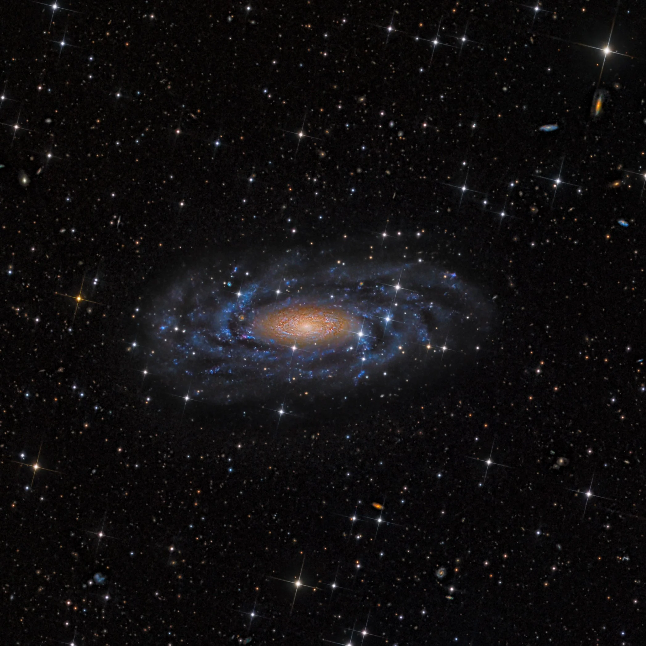 HermetoPascoaleGrupo Planetário daGávea Hanson Astrophotography-Hineze 70 in LMC